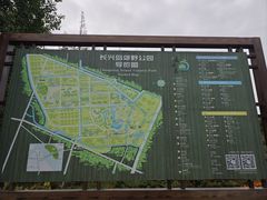 -上海长兴岛郊野公园