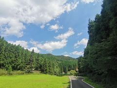 -武陵山森林公园