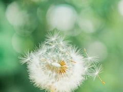 -螺大蛳柳州螺蛳粉·火锅·热干面(西城永捷店)