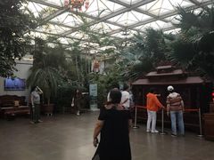 -忆江南·生态餐饮宴会酒店