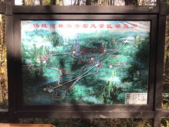 -汤旺河林海奇石景区