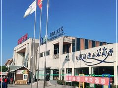 -平望服务区·停车场