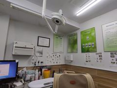 -爱侣宠医·鹦鹉专科·小型哺乳类·异宠专科(灵石路店)