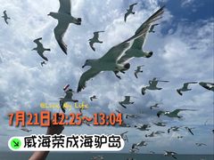 -海驴岛(荣成市)