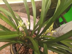 -兰溪小馆(首经贸店)