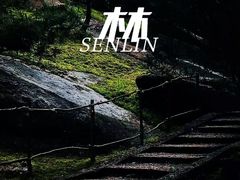 -玉苍山国家森林公园
