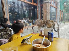 -上海野生动物园老虎餐厅