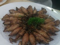 -海岛渔村大酒店(云霄路店)