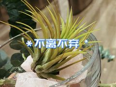 -苏州现代传媒广场商业