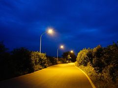 -青龙山国家森林公园