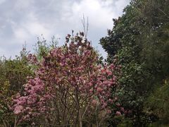 -西安市长乐公园