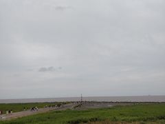 -南汇嘴观海公园