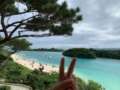 -国际邮轮中心码头(厦鼓码头)