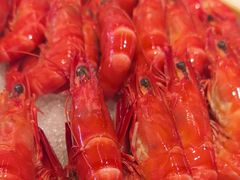 -圣丰索菲特·2 On 988 Café 自助餐厅