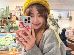 -吉丁鸟咖·异宠·寄养