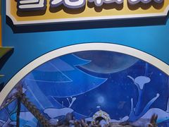 -海合安青岛极地海洋公园