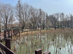 -长兴太湖图影湿地文化园