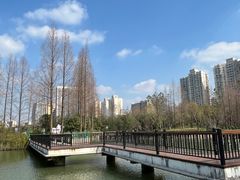 -黄兴公园