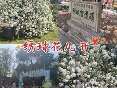 -明故宫遗址公园