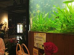 -华阳时光吧餐厅(华阳广场国际大饭店)