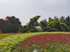 -五四广场