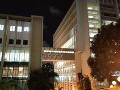 -香港大学