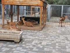 -长白岛森林公园