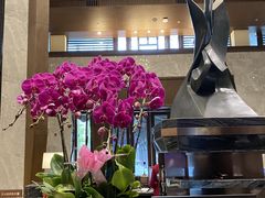 -清远熹乐谷温泉度假酒店