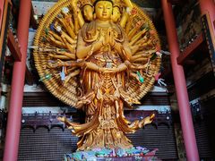 -上海东林寺(金山区)