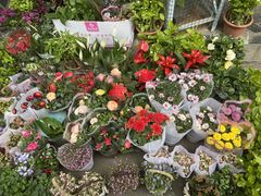 -循礼门鲜花花市(武汉循礼门店)