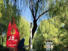 -西安市长乐公园