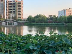 -西海子公园