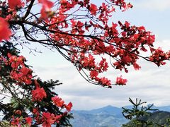-岳西天峡风景区