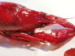 -虎虎龙虾大排档(双井店)