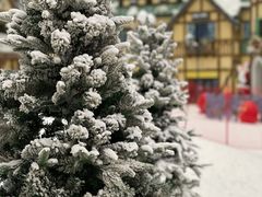 -广州热雪奇迹