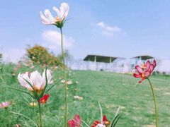 -镇江润扬大桥酒店