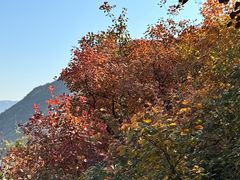 -北京上方山国家森林公园