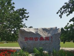 -御林古桑园