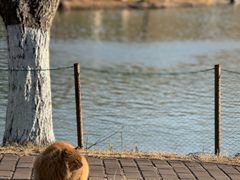 -华东政法大学(松江校区)