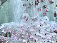 -洛阳白云山景区