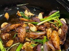 -石岐乳鸽村(南海第三分店)