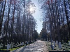 -月湖风景区