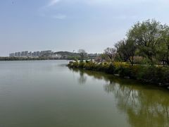 -徐州博顿温德姆酒店(高铁东站店)