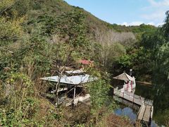 -雾灵西峰