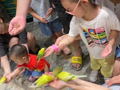 -太阳岛度假酒店