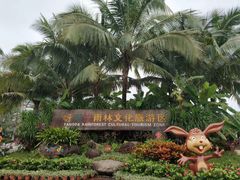 -呀诺达热带雨林