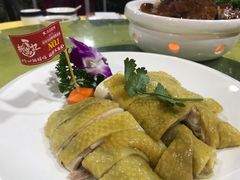 -新高记·粤菜·湛江鸡(南头古城店)