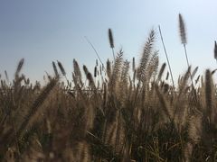 -东疆建设开发纪念公园
