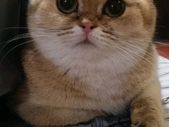 -北京赛佳动物医院