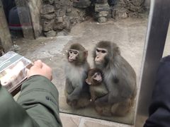 -北京市海淀外国语实验学校